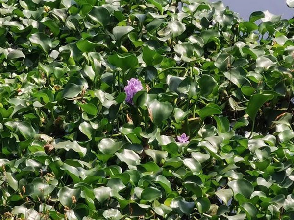 1639641868218293.jpg 37d12f2eb9389b503942feafef529cd4e6116e7a.jpg