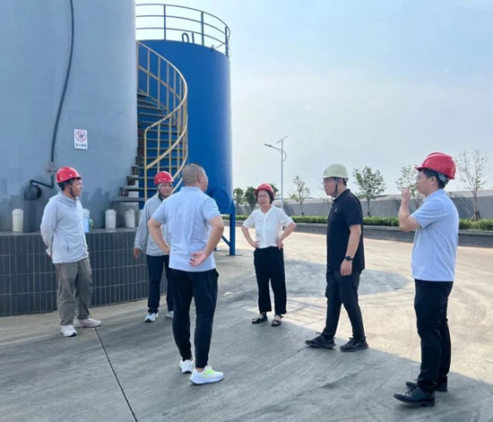 1754470131636460.jpg 2.jpg